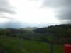 P1000139.JPG